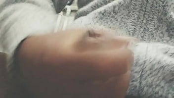 Pájarso de paseo por el norte