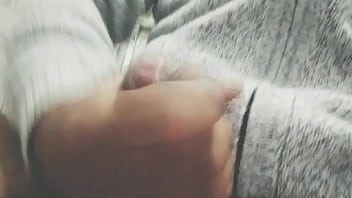 Pájarso de paseo por el norte