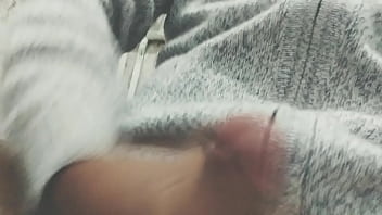 Pájarso de paseo por el norte