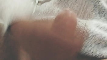 Pájarso de paseo por el norte