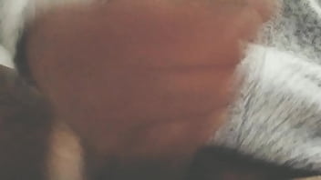 Pájarso de paseo por el norte