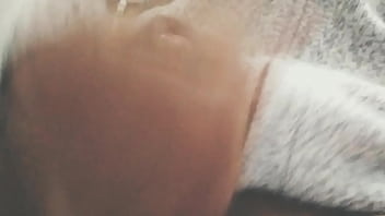 Pájarso de paseo por el norte