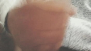 Pájarso de paseo por el norte