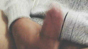 Pájarso de paseo por el norte