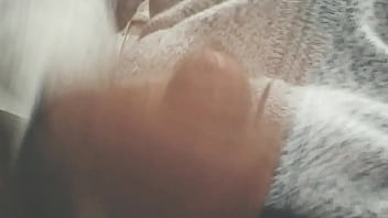 Pájarso de paseo por el norte