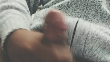 Pájarso de paseo por el norte