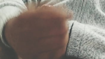 Pájarso de paseo por el norte