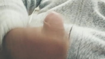 Pájarso de paseo por el norte