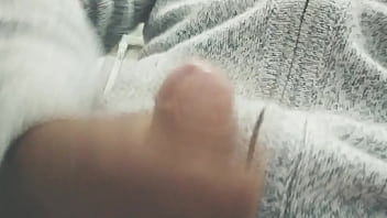 Pájarso de paseo por el norte