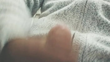 Pájarso de paseo por el norte