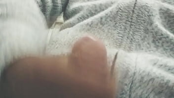 Pájarso de paseo por el norte