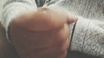 Pájarso de paseo por el norte