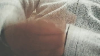 Pájarso de paseo por el norte