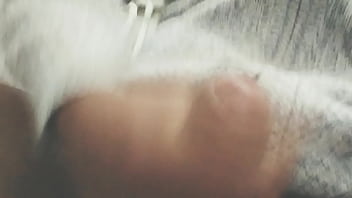 Pájarso de paseo por el norte