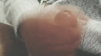 Pájarso de paseo por el norte