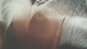 Pájarso de paseo por el norte