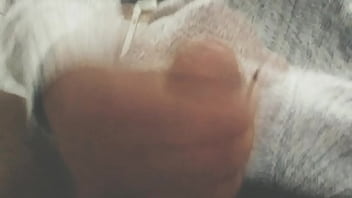 Pájarso de paseo por el norte