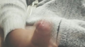 Pájarso de paseo por el norte