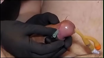 Patricia medicalsado un perro