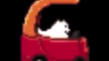 Perro de girando de pana