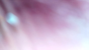 Te gusta mi nueva tanga