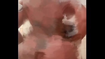 Lizamonet update #11 may 26 2024