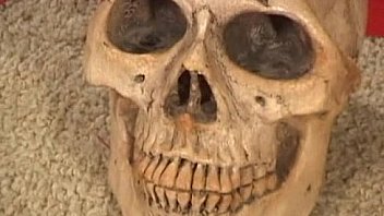 Asian Sex Doll 438 thumbnail