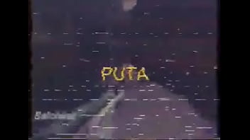 Verdades sobre torcedor do vitoria