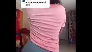 Gata de mais