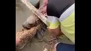 Видео для верификации