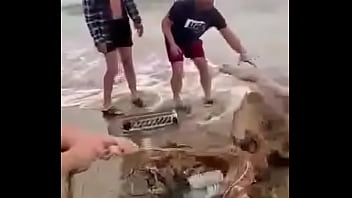 Видео для верификации