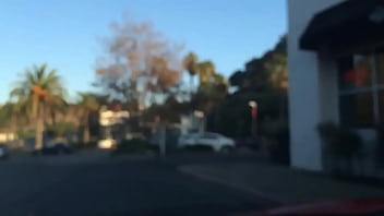 Act like reptiles and trouser snakes