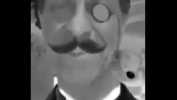 Sim dalva são cavalos