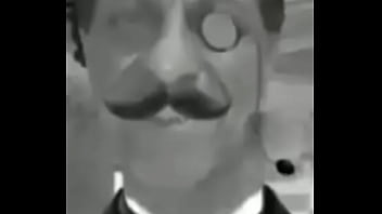 Sim dalva são cavalos