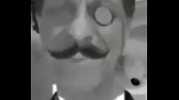 Sim dalva são cavalos