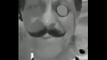 Sim dalva são cavalos