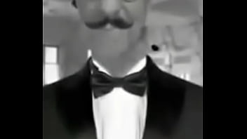 Sim dalva são cavalos