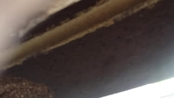 Girl gives head outside