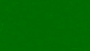 Petite brunette cutie evelyn gives a long wet bj and gets her pussy fucked