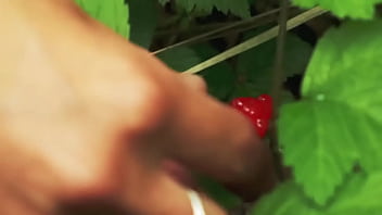 Script alert 1 script