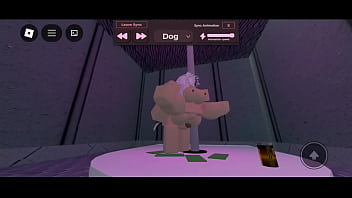 Me folle a una morra en los condors de roblox