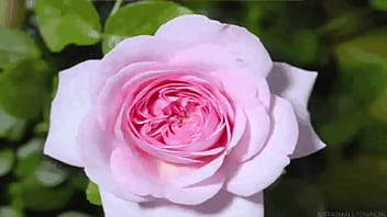 Orgasmic pussy find me on youtube