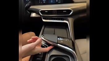 Лиса рулит #1