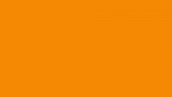 Serie de imágenes caliente para ganso