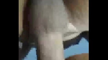 Cliente safado fez no pelo e gozou dentro