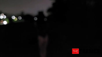 The farmer encounters nanda the fox