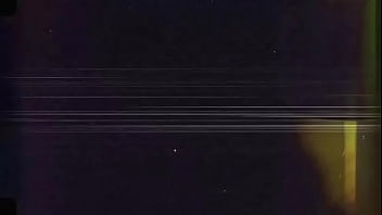 Vibrator during blowjob