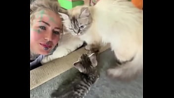 Cat heaven #facetattoo #inkedface #eyeballtattoo #cat #kitten