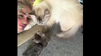 Cat heaven #facetattoo #inkedface #eyeballtattoo #cat #kitten