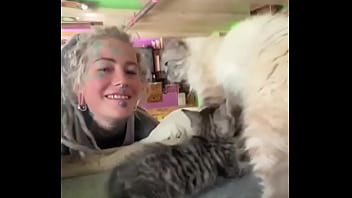 Cat heaven #facetattoo #inkedface #eyeballtattoo #cat #kitten